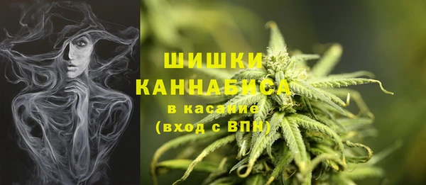 крисы Дмитриев