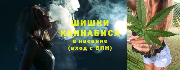гидра Дмитров
