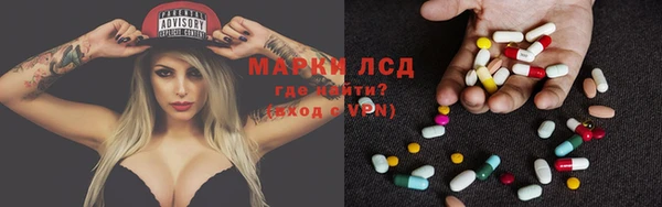 крисы Дмитриев