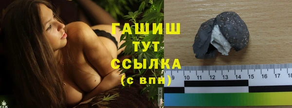 гидра Дмитров