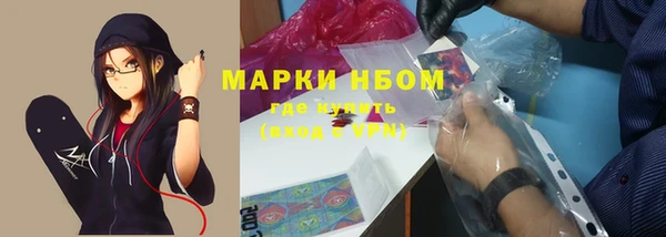 гидра Дмитров