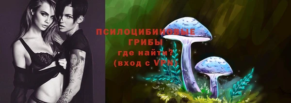 крисы Дмитриев