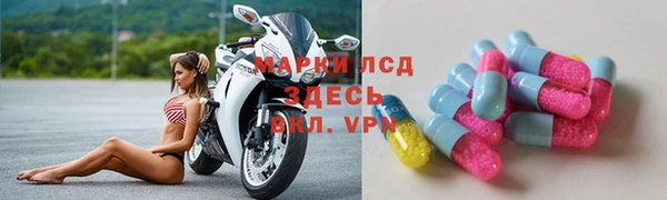 гидра Дмитров