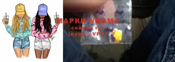 гидра Дмитров