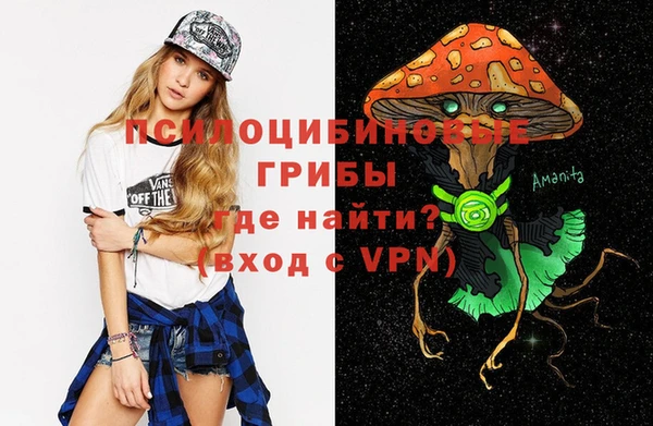 не бодяженный Дмитровск