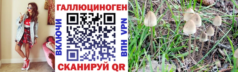 Купить  Энем  Галлюциногенные грибы MAGIC MUSHROOMS 